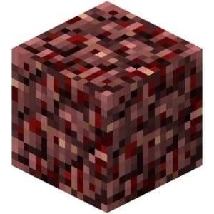 Meet your Posher, Noe